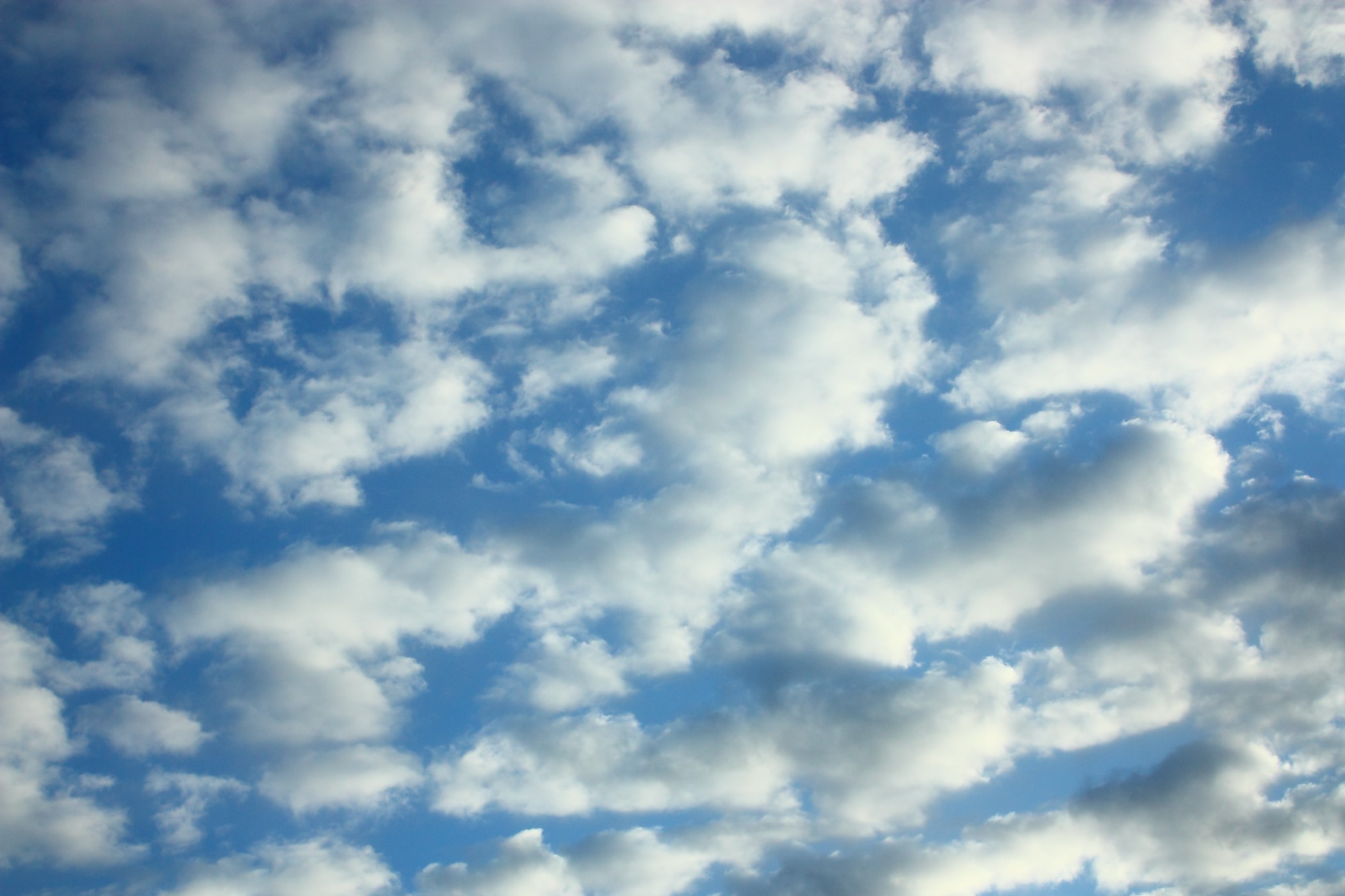 Blue Sky